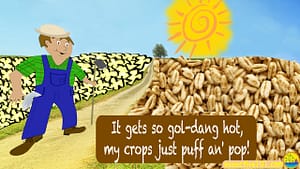 Sun high in sky, farmer surveys his fields of puffed wheat and popped corn. Words say, "It gets so gol-dang hot, my crops just puf an' pop!"
