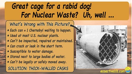 The image title reads, “Great cage for a rabid dog! For nuclear waste? Not so good.” On the right is the image of a thin-walled nuclear waste canister with a grid over the opening. To the left, under the question “What’s wrong with this picture?” are seven bullet points, as follows: “#1, Each can equals one Chernobyl, waiting to happen. #2, Used at most US nuclear plants. #3, Cannot be inspected or repaired. #4, Can crack or leak in the short term. #5, Susceptible to water damage. #6, Stored next to large bodies of water. #7, Cannot be legally or safely moved away.” Across the bottom are the words, “Solution: Replace with thick-walled casks.” 