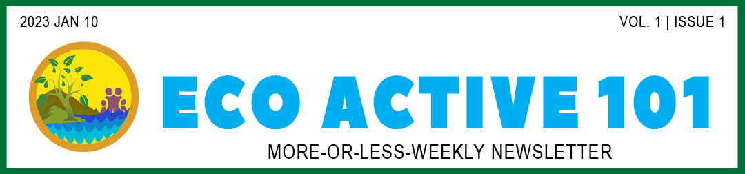 Newsletter header showing "Eco Active 101" in bold turquoise blue letters and under that, "More-or-Less-Weekly Newsletter" in black as well as the newsletter title, date, and issue number.