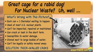 The image title reads, “Great cage for a rabid dog! For nuclear waste? Not so good.” On the right is the image of a thin-walled nuclear waste canister with a grid over the opening. To the left, under the question “What’s wrong with this picture?” are seven bullet points, as follows: “#1, Each can equals one Chernobyl, waiting to happen. #2, Used at most US nuclear plants. #3, Cannot be inspected or repaired. #4, Can crack or leak in the short term. #5, Susceptible to water damage. #6, Stored next to large bodies of water. #7, Cannot be legally or safely moved away.” Across the bottom are the words, “Solution: Replace with thick-walled casks.”